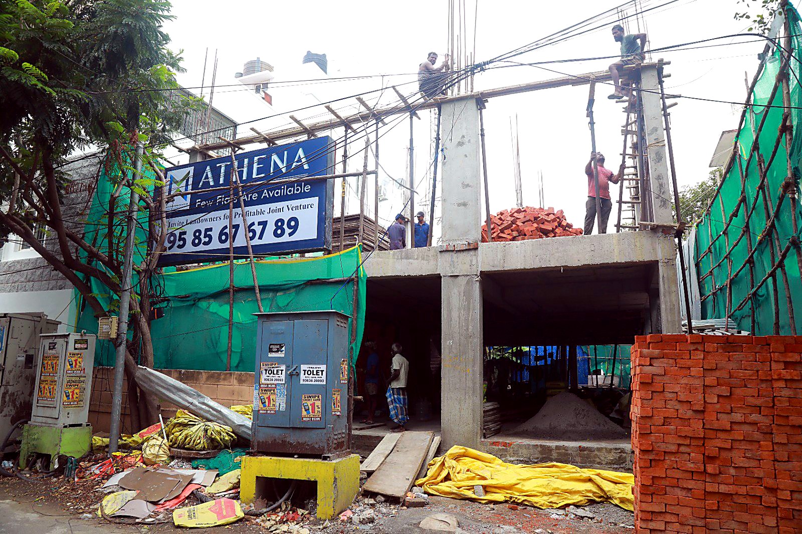 Athena — gallery image 1