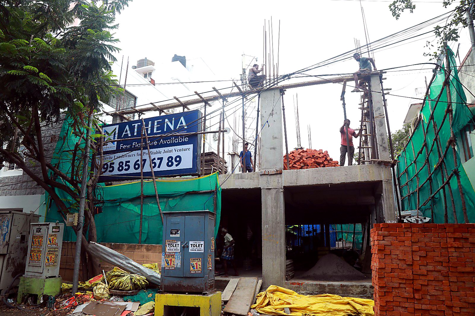 Athena — gallery image 2